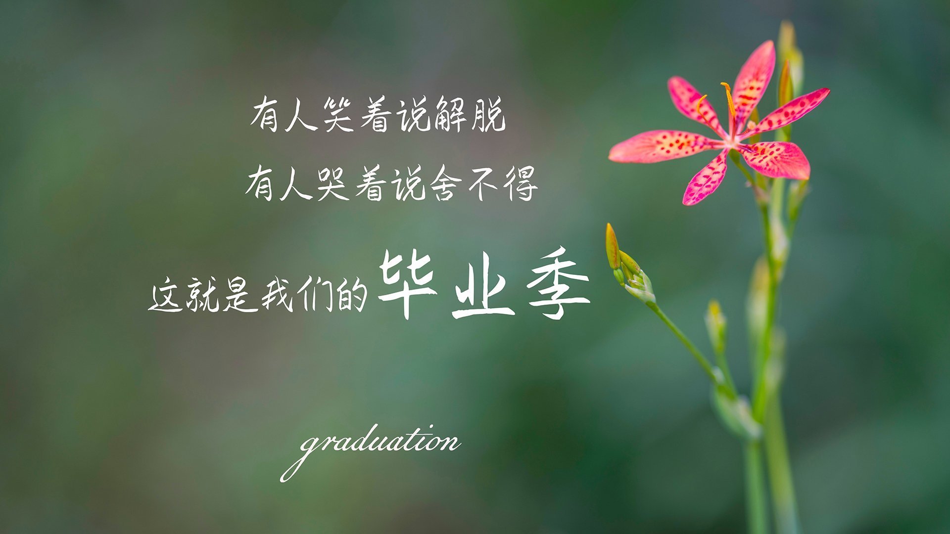 体育在线-2026世界杯E组焦点战，智利压制乌兹别克斯坦，奥斯梅恩主导比赛，默契配合撕裂防线