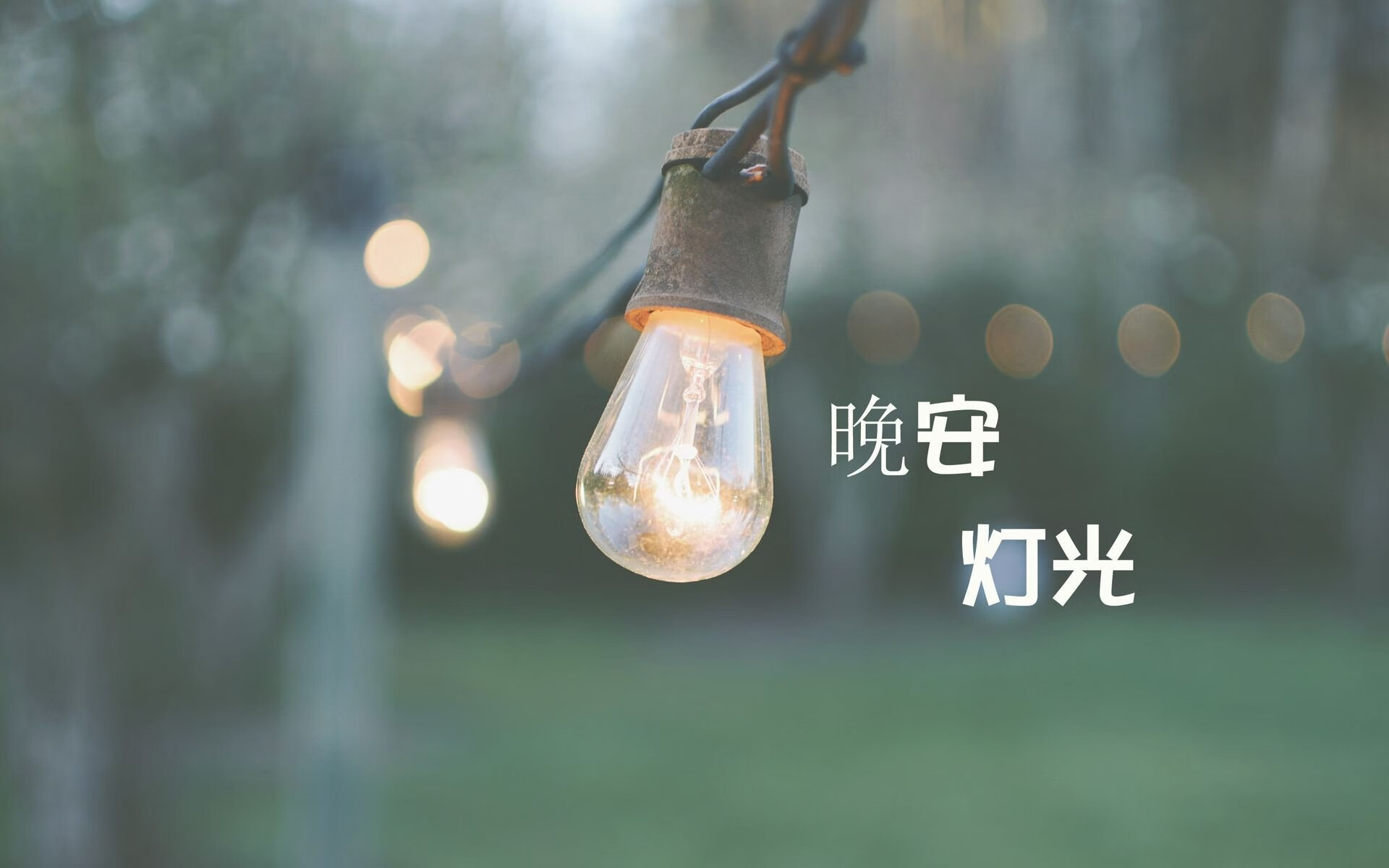 宿命对决，当厄瓜多尔的铁血防线撞上澳大利亚的孤注一掷，穆西亚拉用天赋改写A组剧本